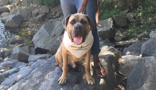 DroolUTaishaLuxRocks